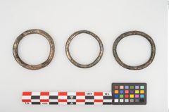 Foto von Bronzering (NHMW-PRAE-025511)